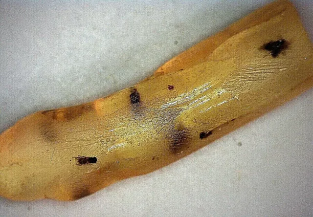 Morceau d'ambre à insecte(s), brut 1 gr INDONÉSIE