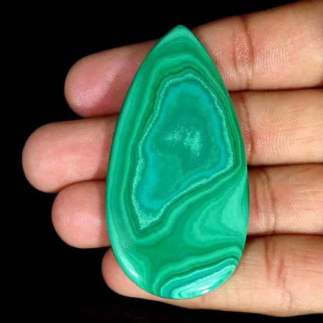 145.20Cts Naturel Malachite Poire Cabochon Desseré Pierre Précieuse