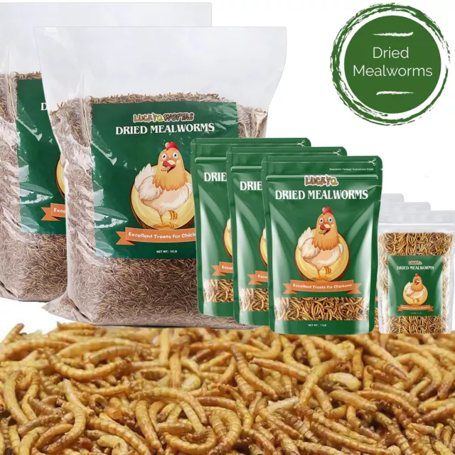 Premium Mealworms Wild Bird Food Dried High-Protein Non-GMO 10 oz 11/22/44 LBS