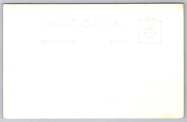 Postcard Van Bragt Tulip Fields, Holland, Michigan RPPC B57 2