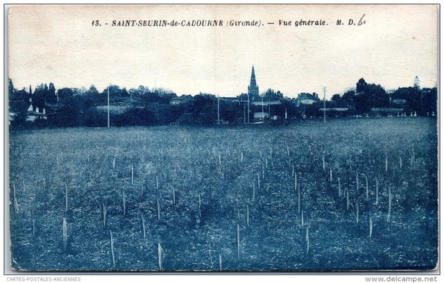 33 SAINT SEURIN DE CADOURNE - vue generale.