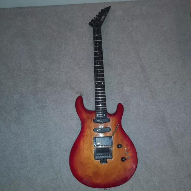 HOHNER PROFESSIONAL SG Lion Set Neck Arched Top EMG Select