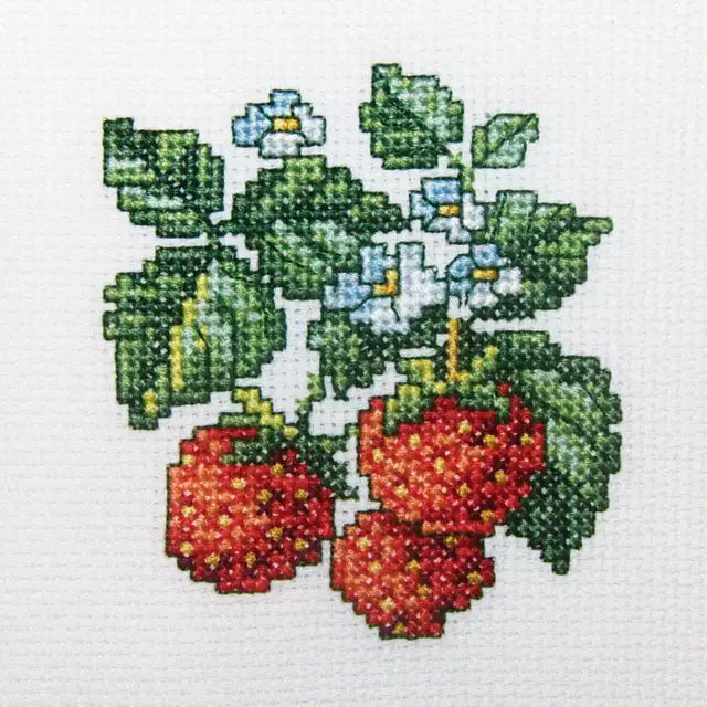 Wild Strawberries H251 RTO Counted Cross Stitch Kit