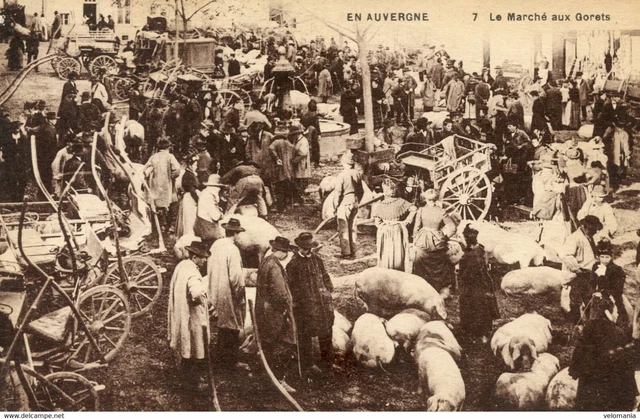 S11840 cpa 63 En Auvergne - Le Marché aux Gorets
