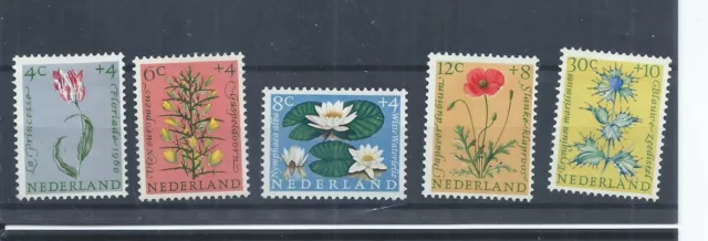 Netherlands stamps.  1960 Cultural & Social Relief Fund Flowers MH  (AC598)