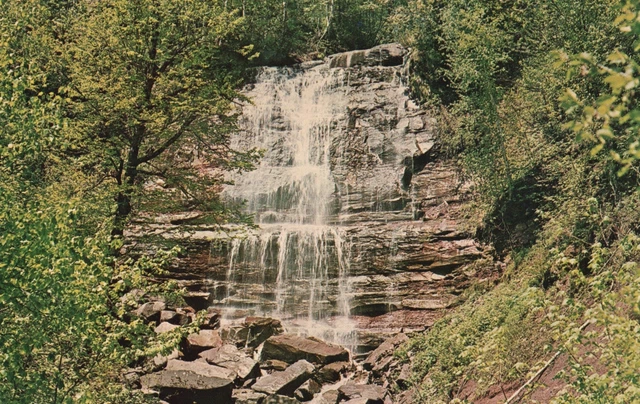 Vintage Postcard Hungarian Falls West Hungarian Waters Hubbell Michigan MI Avery