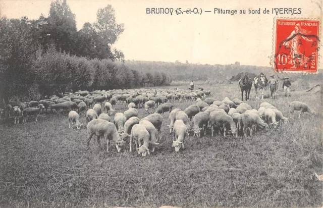 Cpa 91 Brunoy / Paturages Au Bords De L'yerres