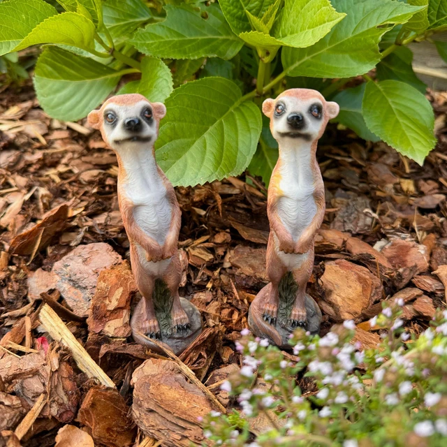 Erdmannchen Figur Fur Garten