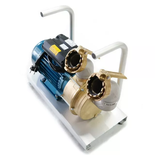 Pump for Heating Oil Diesel Tank Tankreinigung Impellerpumpe 240l Tw-Kupplung