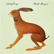 Vashti Bunyan - Lookaftering - New CD - K1398S