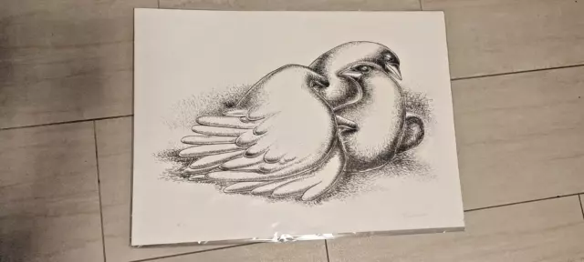 TURCHIARO  ALDO, LITOGRAFIA  1959 , colombi