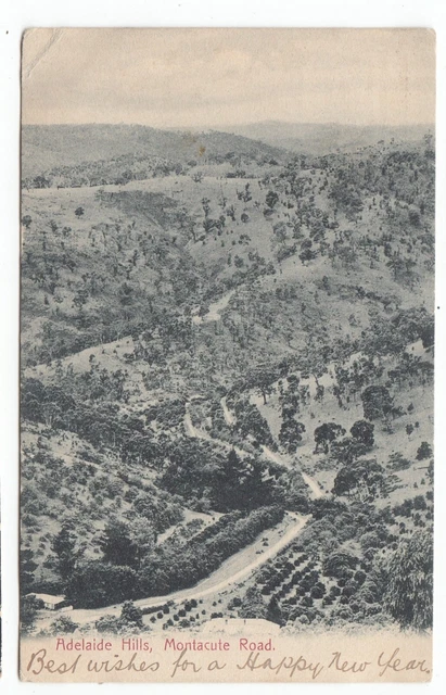 Adelaide Hills Montacute Road South AUSTRALIA OLD POSTCARD sent 1906