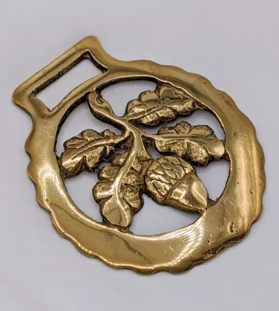 Brass Horse Medallion Vintage English Acorn Oak Leaf Show Parade Harness Bridle 3