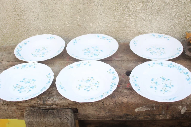 Lot 6 Assiettes À Dessert Arcopal Myosotis