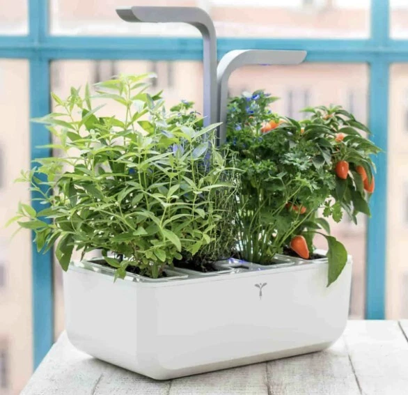 Veritable Indoor Garden Classic Edition 4 Slot Herb Plant Holder (White) - NEW!