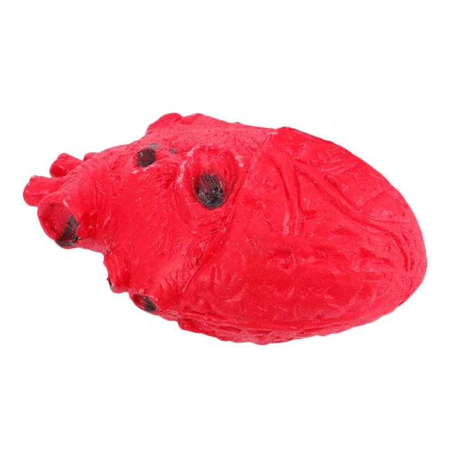 Finto cuore imbottitura parti corpo cotone organi oggetti di scena decorazioni Halloween