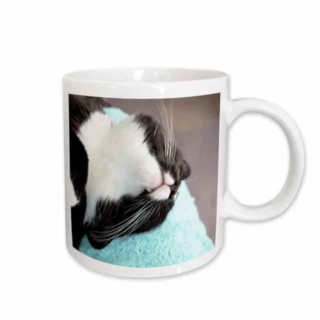 3dRose sleeping tuxedo cat  Mug