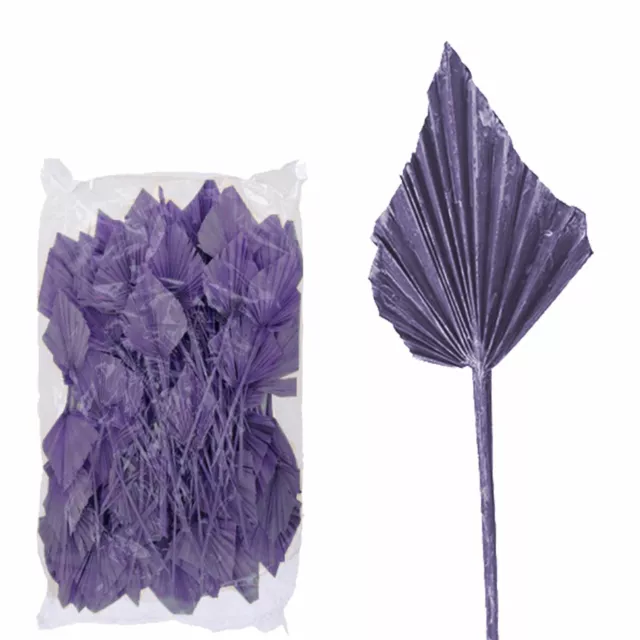 Palmspear ind. grande - 100 piezas bolsa - morera helada