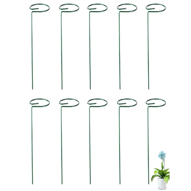 10 Pcs Soutien Aux Plantes Peuplements De Plantes Porte-plante Escalader