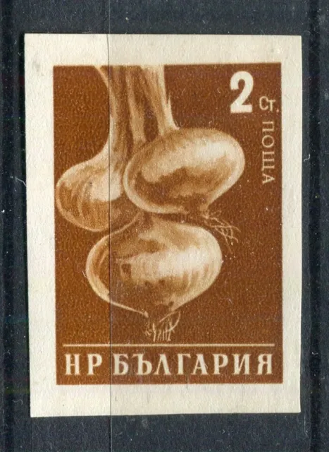 BULGARIA; 1958 early Vegetables issue IMPERF variety Mint hinged 2st.