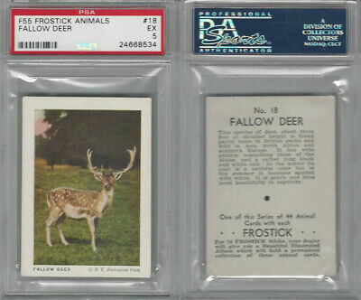 F55 Frostick, Animal Cards, 1933, #18 Fallow Deer, PSA 5 EX