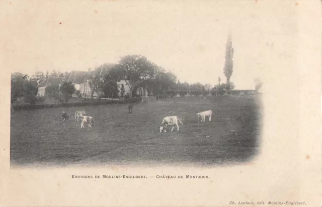 CPA Environs de Moulins Engilbert Chateau de Montjoux 43653