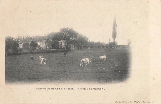 CPA Environs de Moulins Engilbert Chateau de Montjoux 43653
