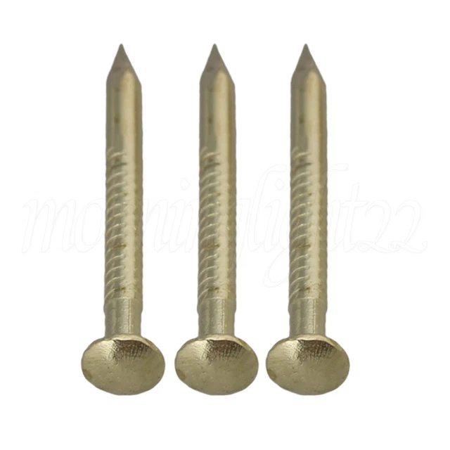 1.8cm Round Head Copper Miniature Nail Set of 100 Brass