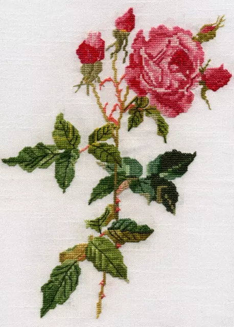 Pink Rose counted cross stitch kit or chart 14s aida
