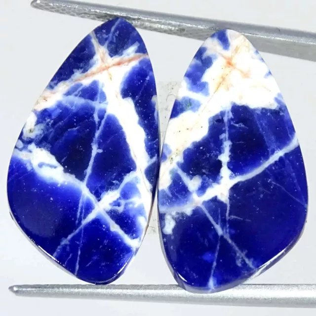 12.70Cts Natural Sodalite Pair Fancy Cabochon Loose Gemstones