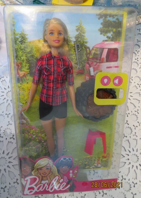 Coffret Poupée Barbie 2010 Exclusivité Carrefour T9403 - NRFB - Avec Accessoires
