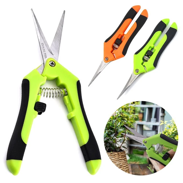 Pruneur greffage Outil de greffage de jardin Ciseaux de jardin Outils à main
