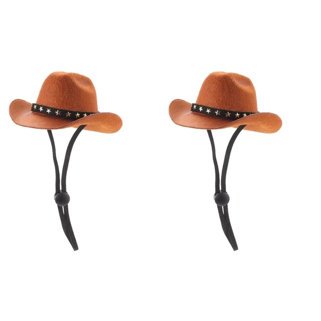 cowboy hat dog Set 2 Welpe Sommer Sonnenhut Cowboy-Hut Sternenkostüm Kopfbedecku