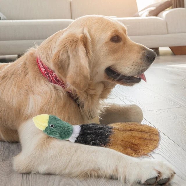 Pheasant Dog Toy Squeaky Toys Squeaking Child Puppet European American