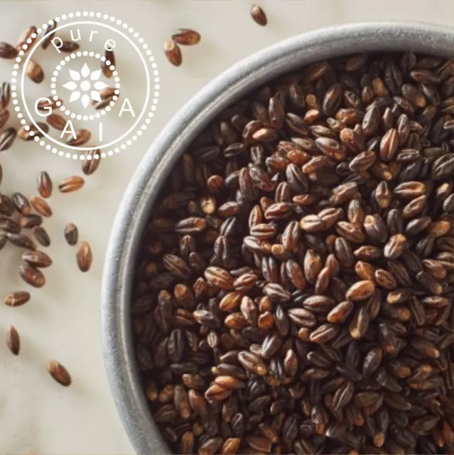 Black Barley - Whole Barley Pearls/Grains - High Quality SUPERFOODS HEALTH