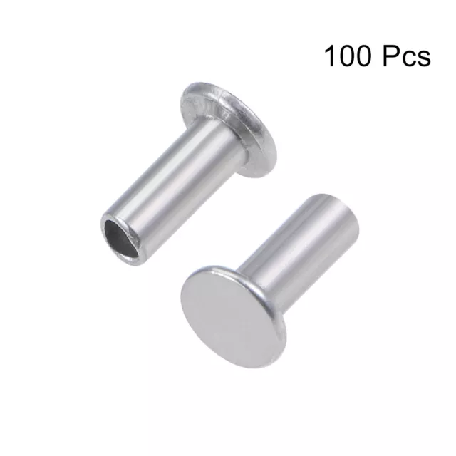 100Pcs 2.5mm x 6mm Aluminum Flat Head Semi-Tubular Rivets Silver Tone 3