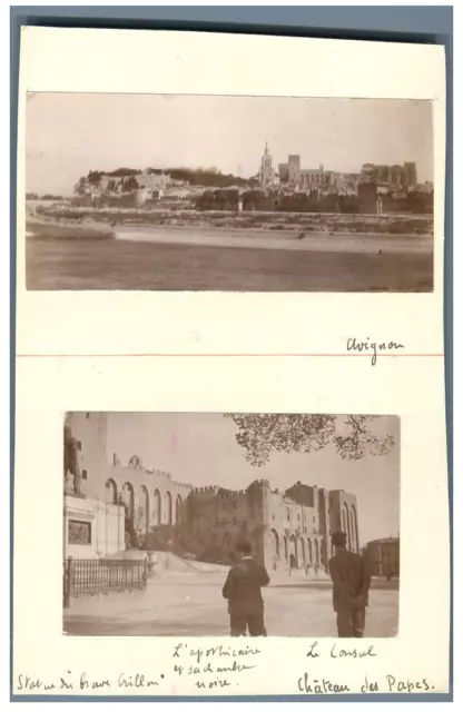 France, Avignon, Panorama de la ville et Château des Papes  Vintage albumen prin