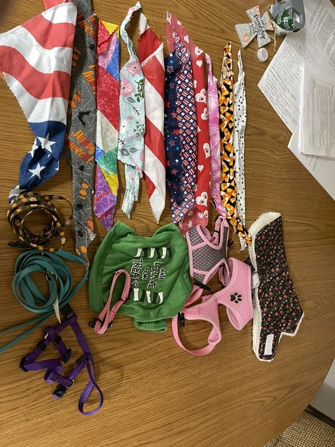 Assorted dog collars, harnesses, neck scarfs