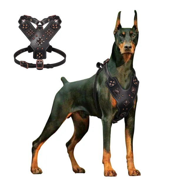 Genuine Leather Studded Dog Harness No Pull Heavy Duty Adjustable PITBULL Boxer