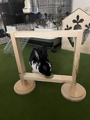 The Hoop Jump: Juguete de salto y masticación de conejo conejos y hurones agilidad.