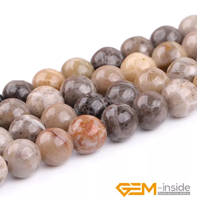 Natural Gray Fossil Coral Jasper Gemstone Round Loose Beads 4mm-10mm Strand15" 3