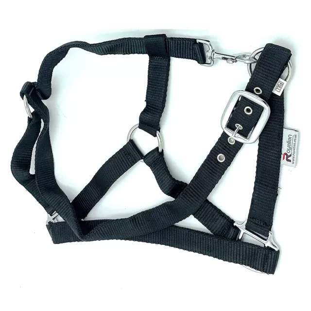 Royalian Pony Nylon Halter With Lead - Comfort Protection Head Collar 2