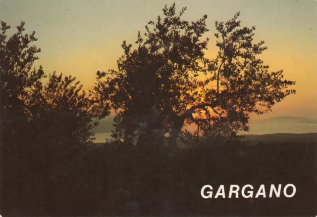 Cartolina Italia Foggia Gargano Lago Varano Ischitella Tramonto Italy Postcard