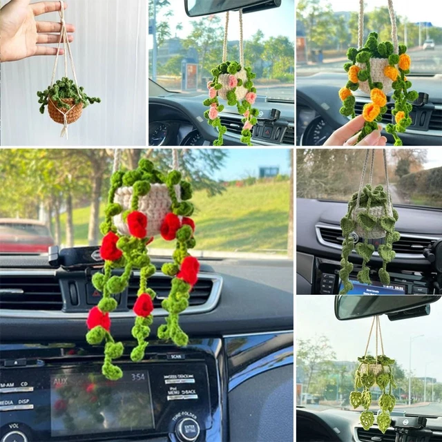 Plante À Suspendre Au Crochet Pour Voiture Plantes En Pot Mignonnes Au