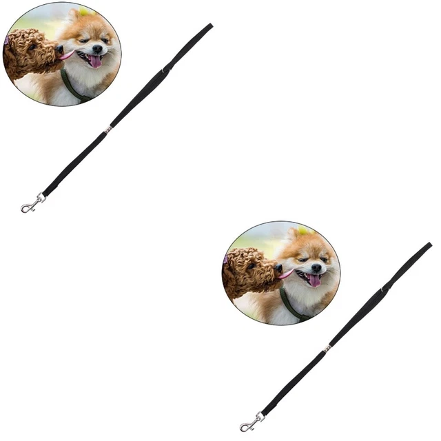 Clip di blocco corda per cane da compagnia gatto imbracatura per corda portatile regolabile doccia guinzaglio