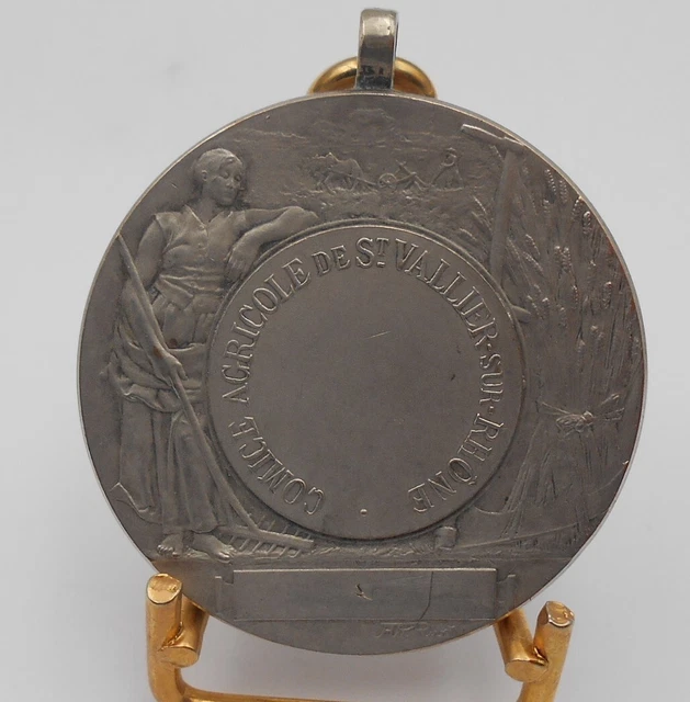 Médaille En Bronze - Comice Agricole De L'Arrondissement De Loches (Pichard)