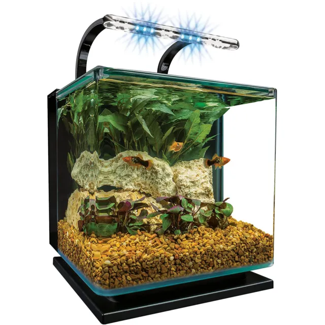 MarineLand 3 Gallons Starter Pack Contour Glass Aquarium Kit with Rail Light