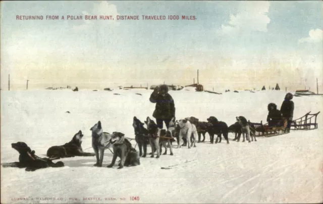 Alaska Sled Dog Team Husky Malamute Polar Bear Hunt c1910 Postcard