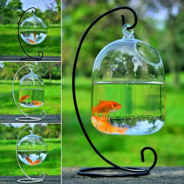 With Rack Holder Fish Bowl Hanging Glass Fish Bowl Fish Tank Vase Ornament