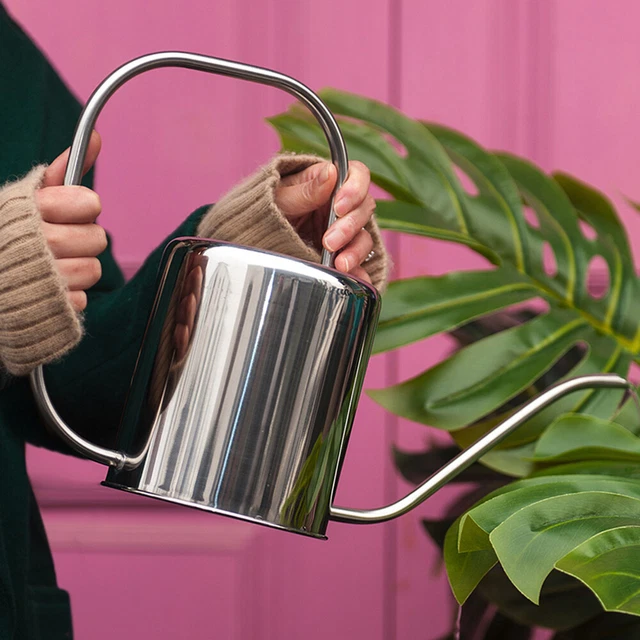 Flower Watering Can Gardening Watering Can Gooseneck Watering Can Jug 6
